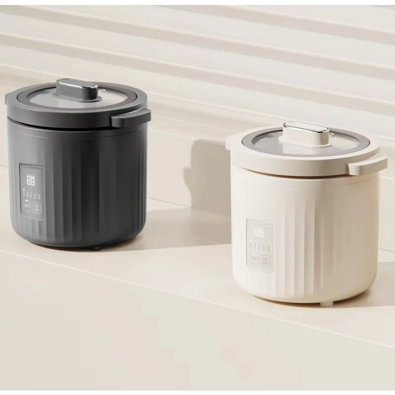 طباخ أرز صغير سعة 1 لتر 110 فو - مراجعة Slow Cooker Ceramic وسعره